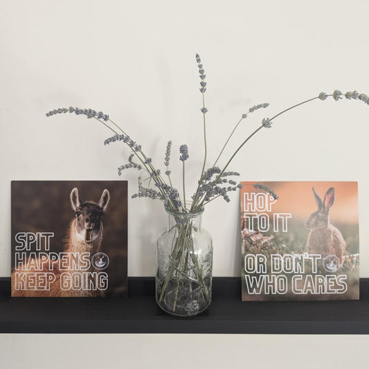 Art Print - Prickly but Present