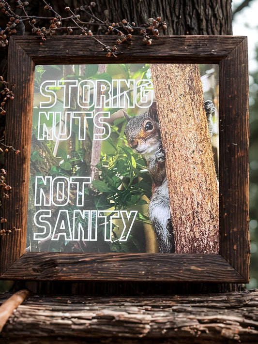 Art Print - Storing nuts, not sanity