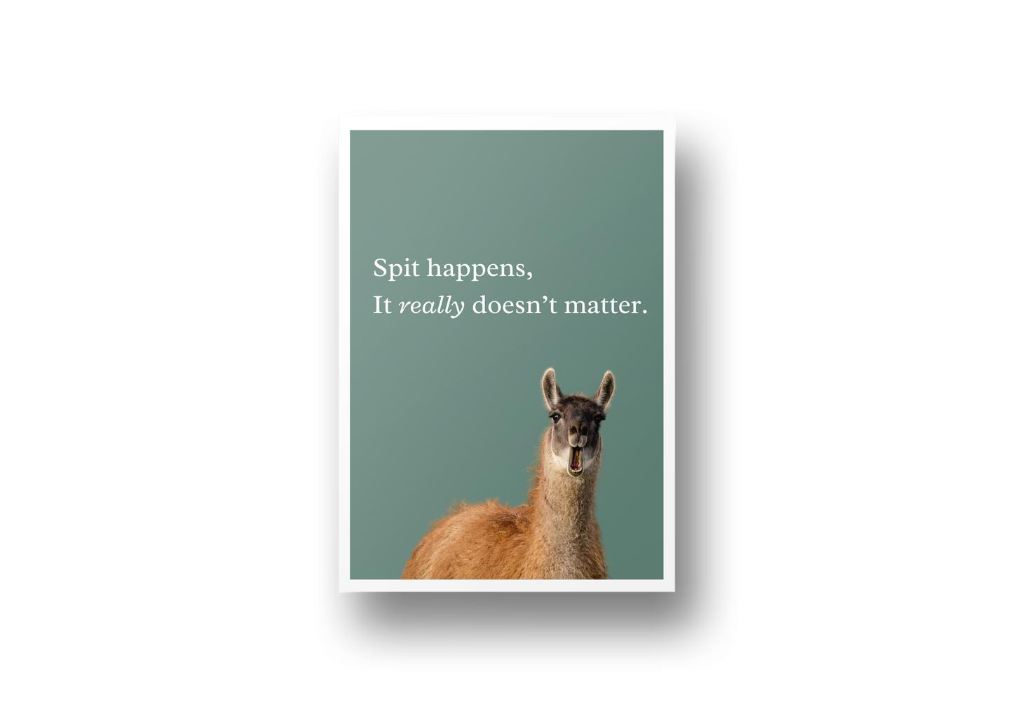 Spit happens, it really doesn't matter - A5 art print