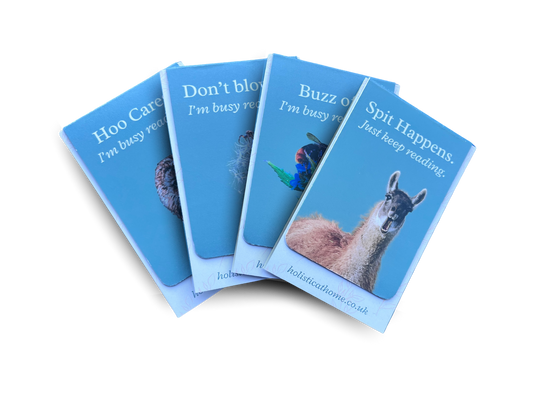 Handmade Bookmark Set – Cozy Chaos Collection (Set of 4)