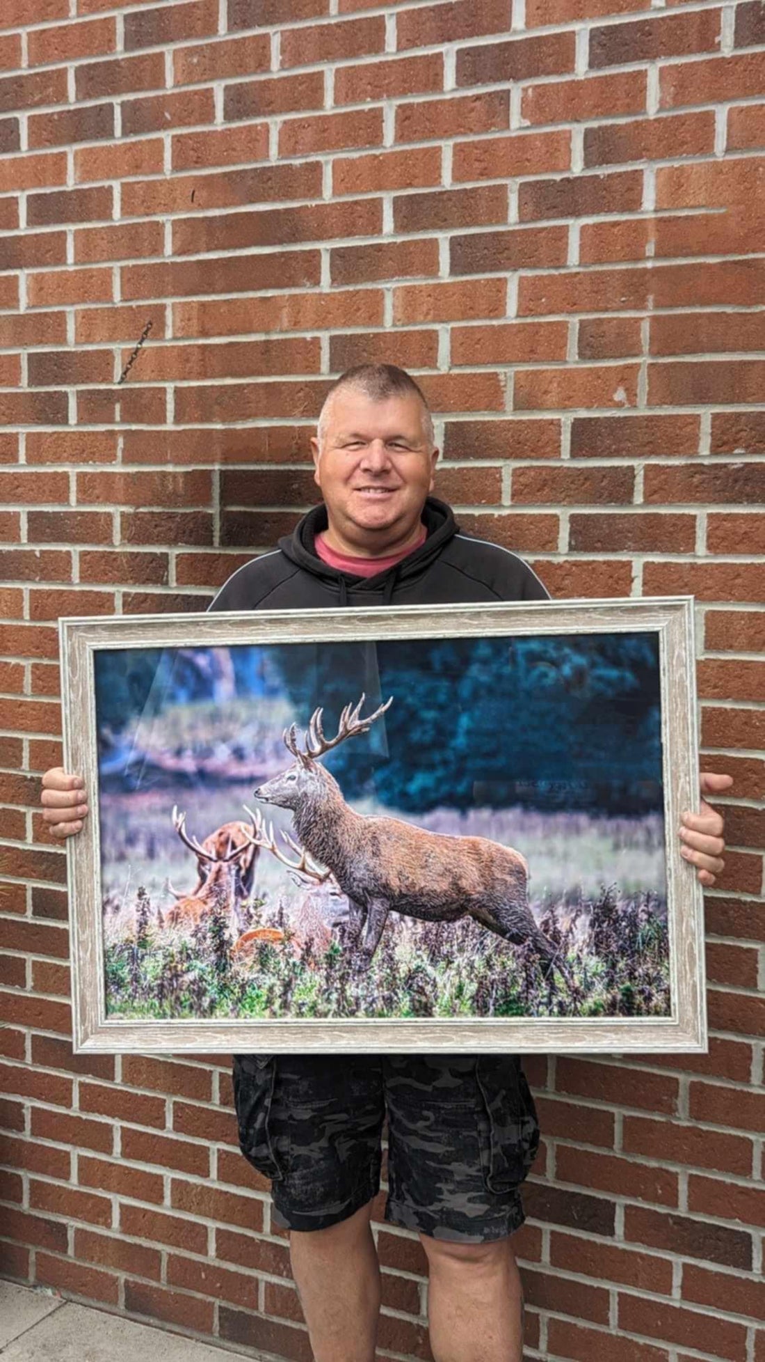 Bob, Picture This