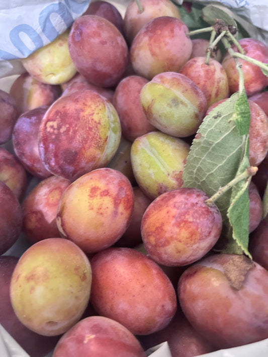 Cozy chaos plum jam