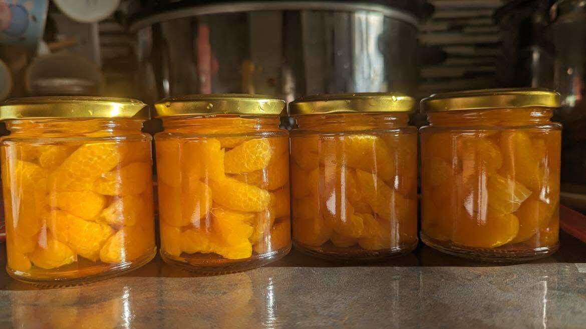 Blog 7: Freezer is King — Why Batch Cooking Beats Canning in the UK