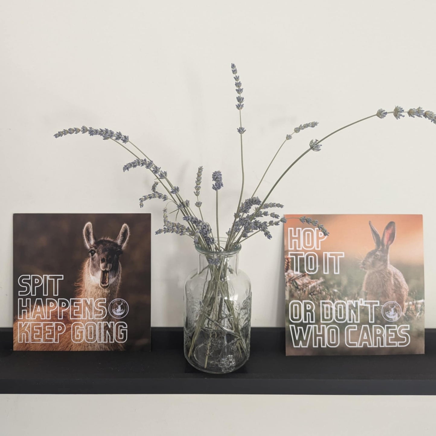 Llama drama + bunny banter - motivational print duo