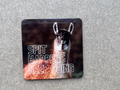 Spit Happens, Coaster