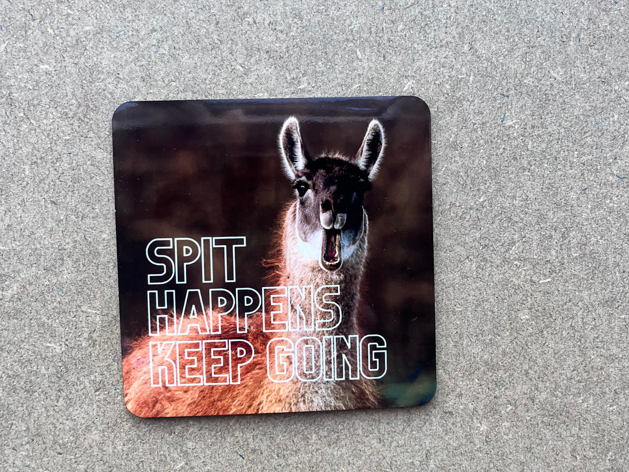 Spit Happens, Coaster