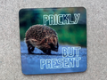 Prickly, but Present Coaster