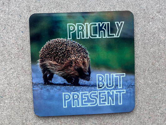 Prickly, but Present Coaster