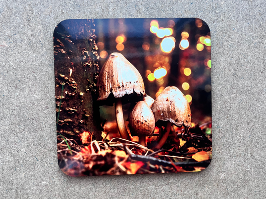 forest glow mushroom coaster