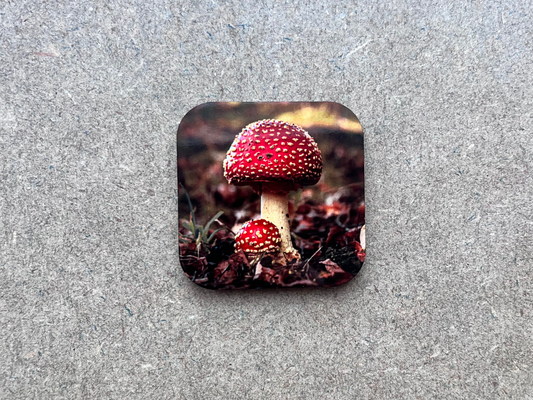 Fairy Ring Toadstool Magnet