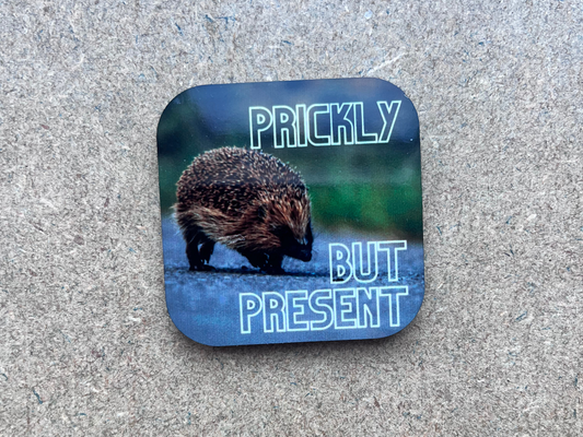 Prickly, but present Magnet