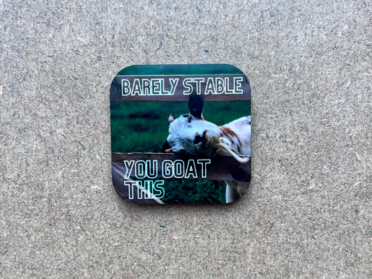 Barely Stable, you goat this magnet