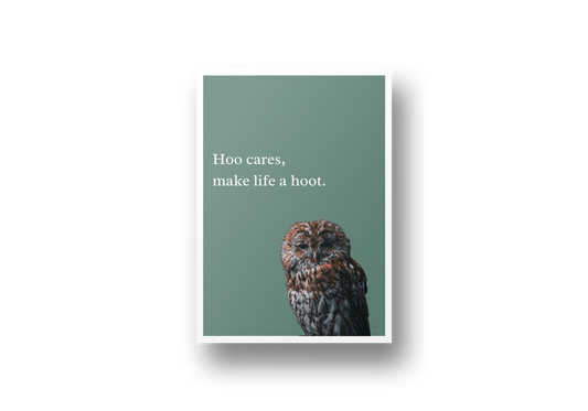 hoo cares, make life a hoot  - A5 art print