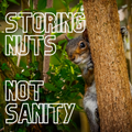 Art Print - Storing nuts, not sanity