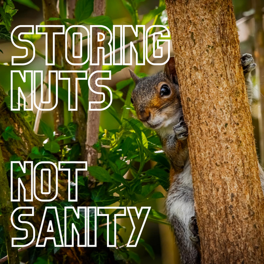 Art Print - Storing nuts, not sanity