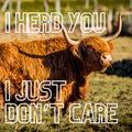 Art Print - I herd you, I just dont care