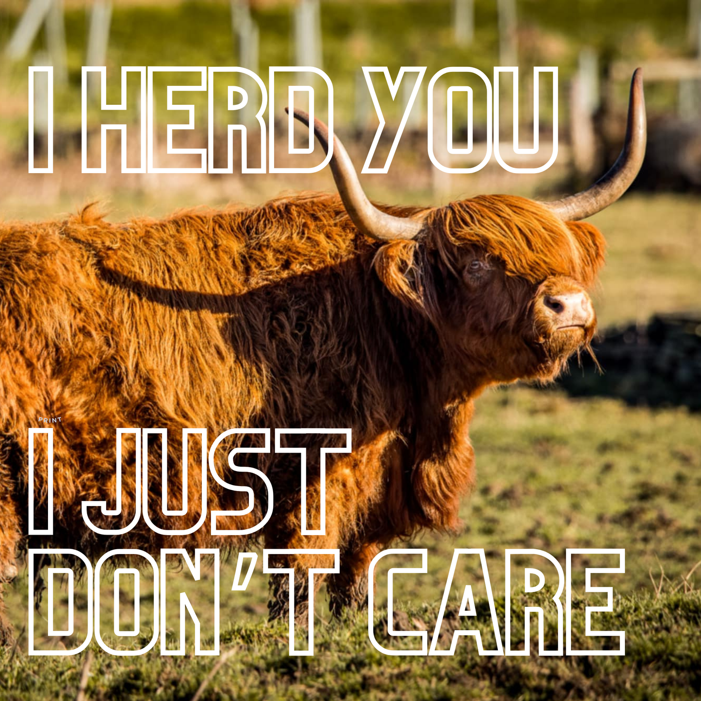 Art Print - I herd you, I just dont care