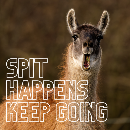 Llama drama + bunny banter - motivational print duo