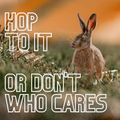 Art Print - Hop to it... or don't, who cares?