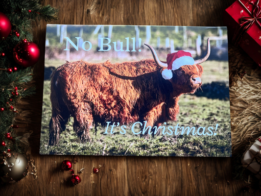 No Bull, it’s Christmas! Card
