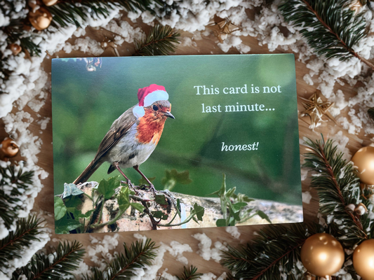 Last minute robin Card